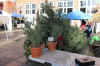 WinterMarket2012_120112_16A.jpg (373134 bytes)